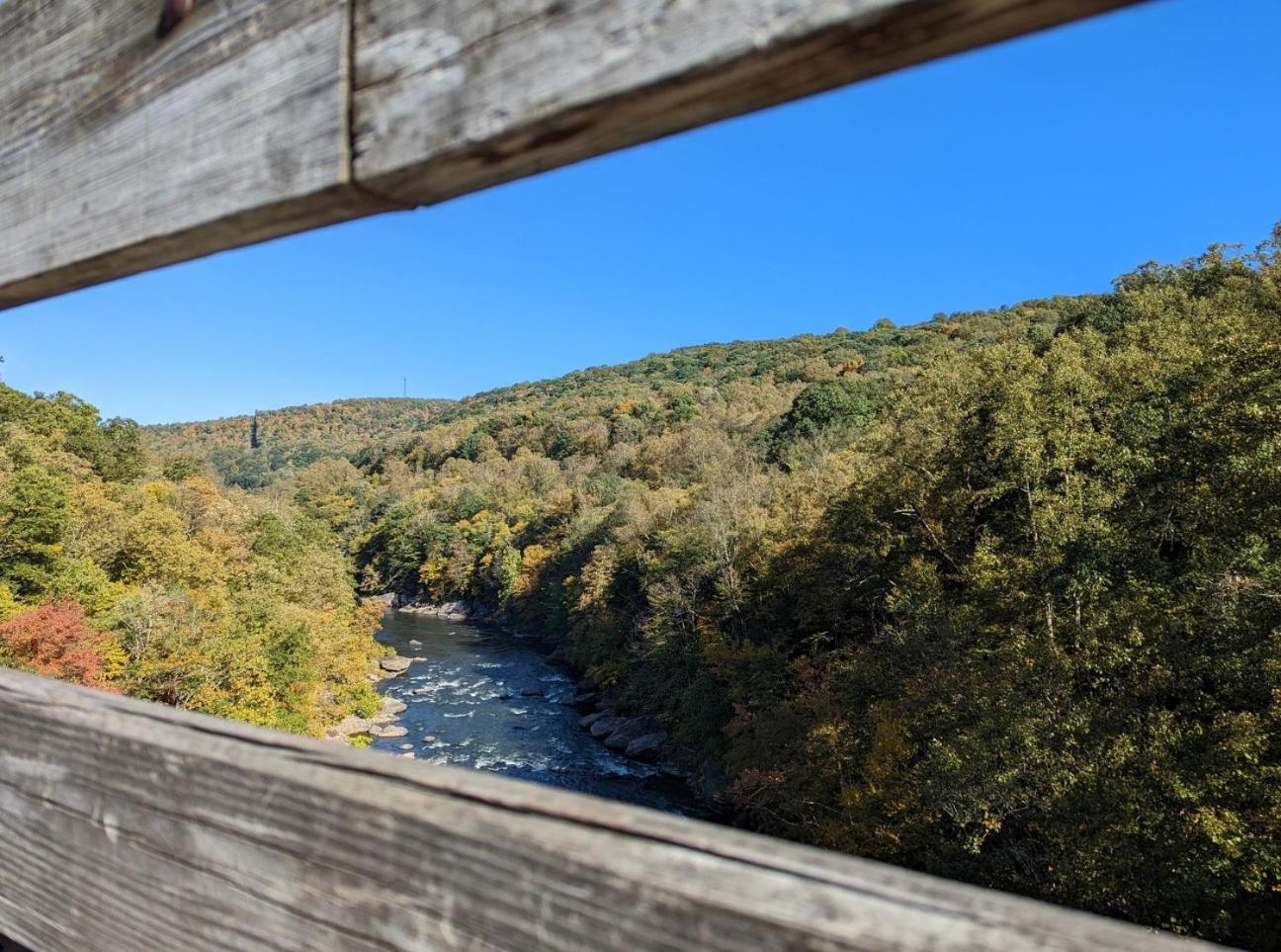 Stay In Ohiopyle In The Center Of It All, Ohiopyle, Pa Exteriör bild